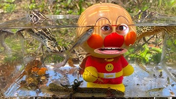 【おもしろ大実験】もしもアンパンマンにこんなシーンがあったら😊