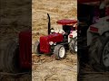 A small tractor is transporting turmeric.#shorts
