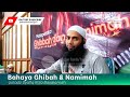 Bahaya Ghibah & Namimah | Ustadz Syafiq Riza Basalamah