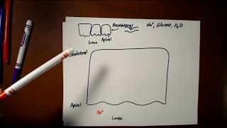 Lecture US-2b