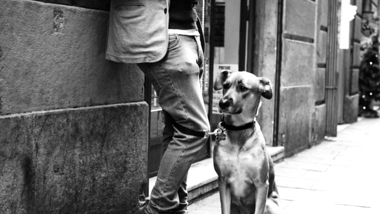 el condor pasa if i could simon & garfunkel