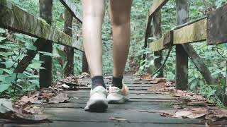 Download Lagu Hiking the tallest mountain in Kuching - Santubong MP3