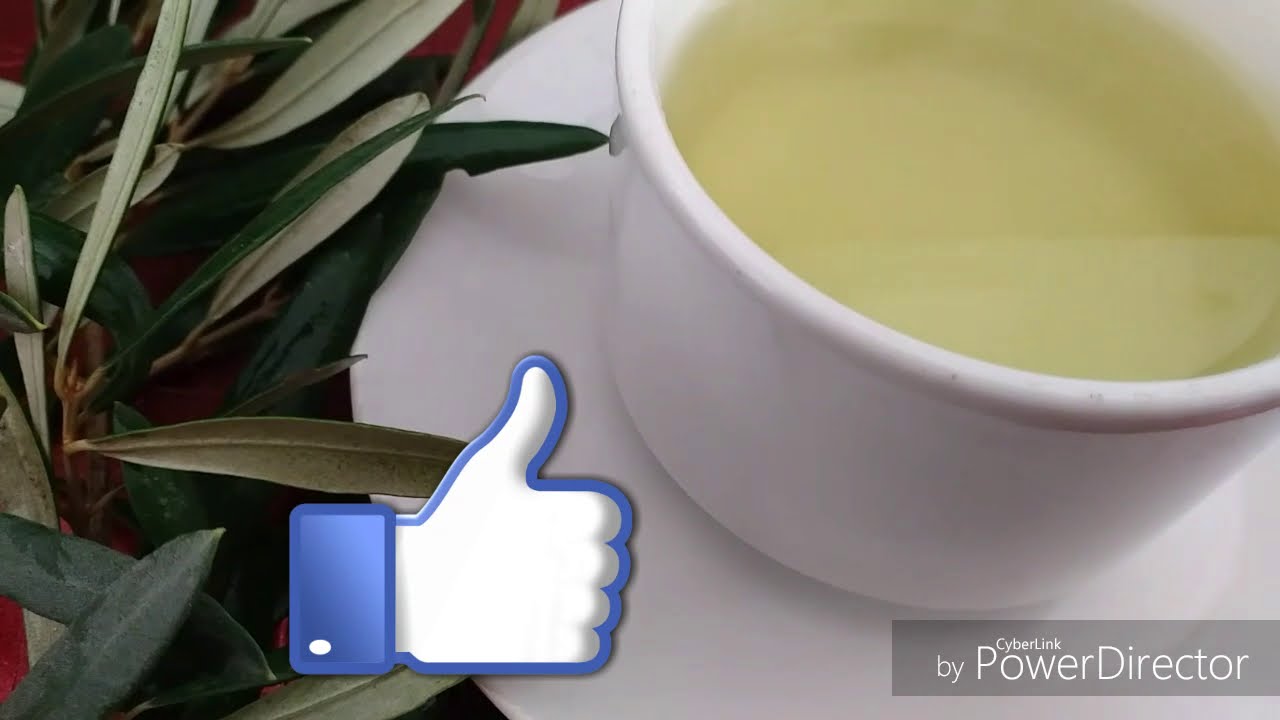 camera iphone 8 plus apk Zaitoon k Patton ki Chai |زیتون کے پتوں کی چائے |How to make Olive leaves tea in Urdu and Hindi