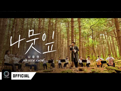 나윤권(Na Yoon Kwon) - 나뭇잎(River of Tears) Live Clip Ver.