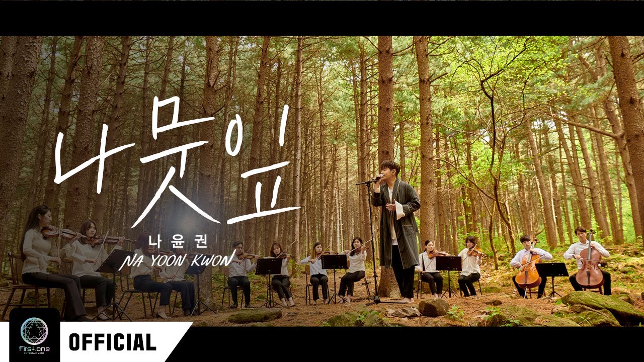 나윤권(Na Yoon Kwon) - 나뭇잎(River of Tears) Live Clip Ver.