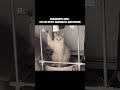 я же не один такой ?😂🥹