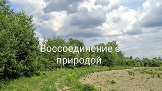 Вылазка на природу. Сплошное пограничное состояние