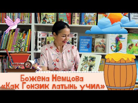 Божена Немцова «Как Гонзик латынь учил»