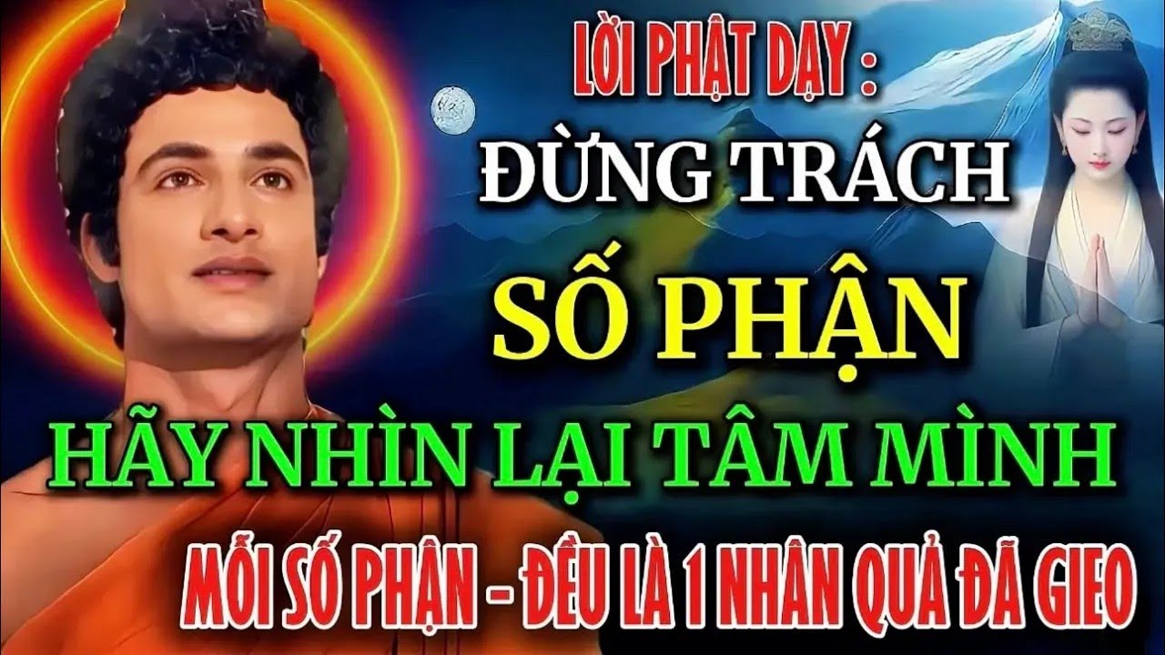Lời Phật Dạy   Đừng Oán Trách Số Phận, Hãy Nhìn Lại Tâm Mình   Mỗi Số Phận Đều Là 1 Nhân Quả Đã