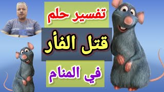 تفسير رؤية حلم قتل الفئران في المنام / أبوزيد الفتيحي