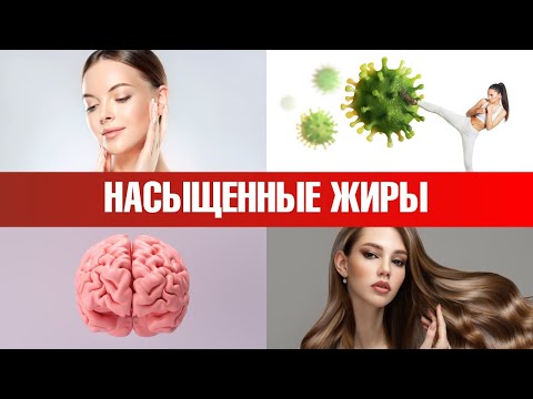 12 причин, по которым необходимо употреблять насыщенные жиры👀