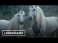 Lil peep x  horsehead  right here legendado