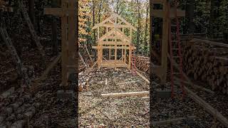 Building Two Wooden Shelters Fast #construction #survival #timelapse