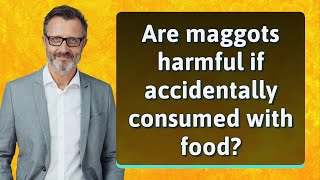 Are maggots harmful if accidentally consumed with food?