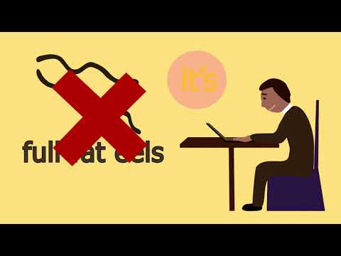 The Velveteens -