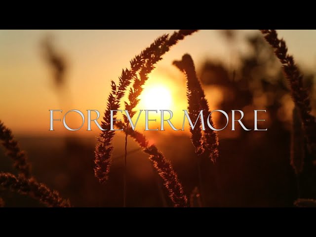 Watch Hawke Music - Forevermore on YouTube Watch Hawke Music - Forevermore on YouTube