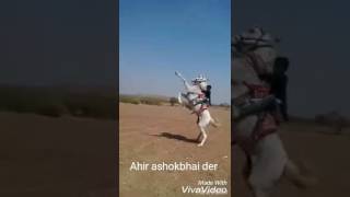 Download Lagu Kathiyawadi horse by ahir siddhrath MP3