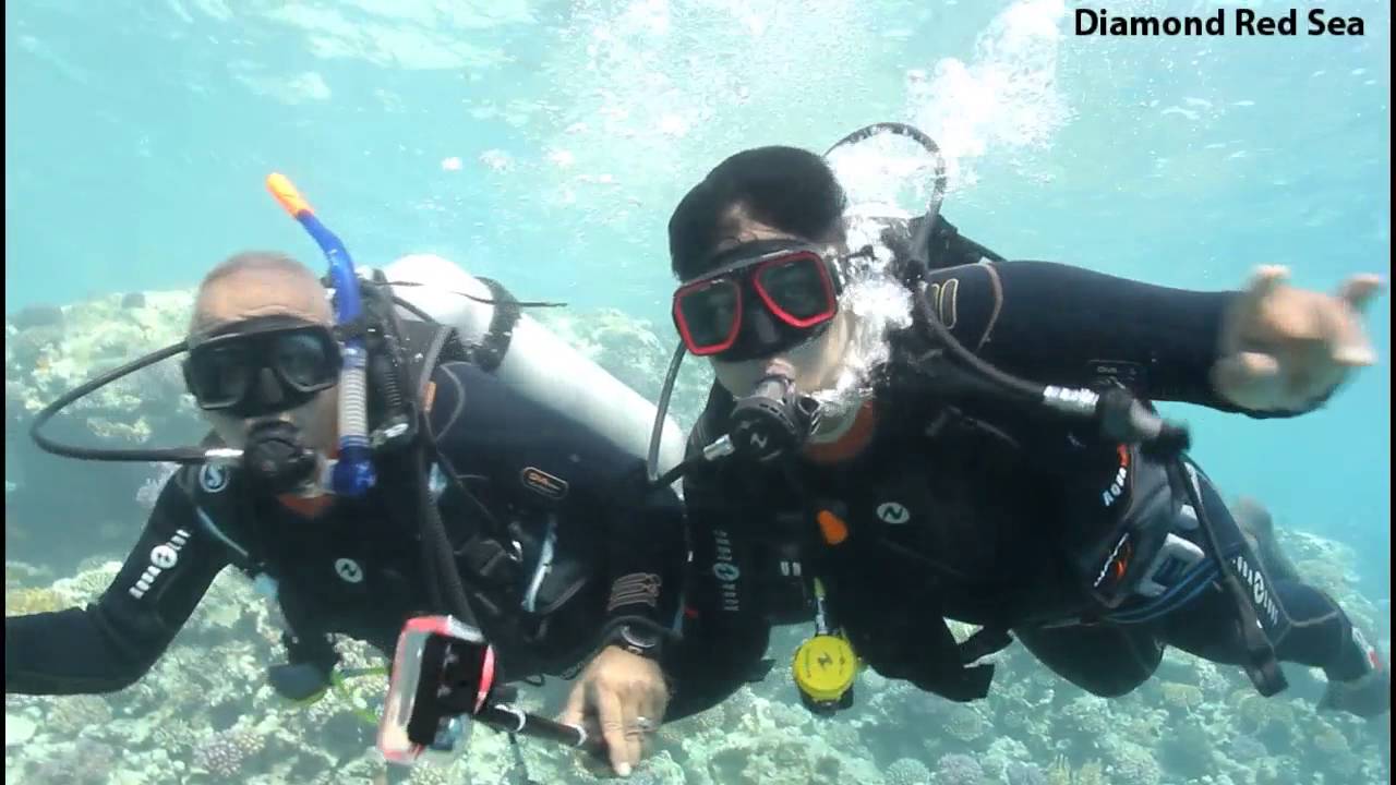Introductory Scuba Diving