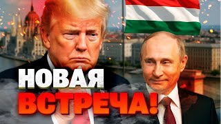 ПУТИН ХОЧЕТ УНИЗИТЬ ЕВРОПУ! Эксперт раскрыл грязную цель встречи с Трампом в Венгрии!