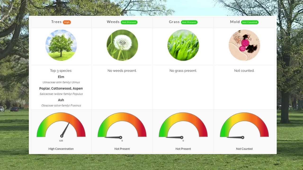 What's in the air? Utah allergy sufferers already crying out for relief