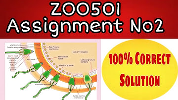 Zoo501 Assignment No 2 solution 2020