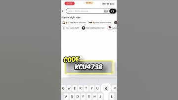 How To Use Promo Codes On TEMU!