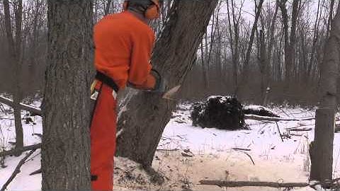 Bore Cut Forward leaning Tree