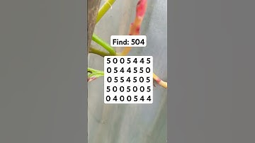 Observation Visual Test: 5 Seconds For You To Spot 504. Try Your Skills! #search #puzzle #shorts
