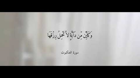 الذين صبروا وعلي ربهم يتوكلون💞،، القارئ عبد الرحمن مسعد✨💎