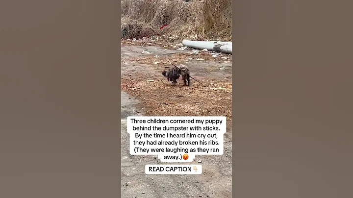 READ CAPTION👇🏻