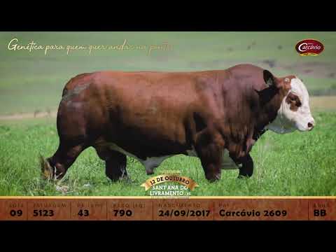 Lote 09 - TAT 5123