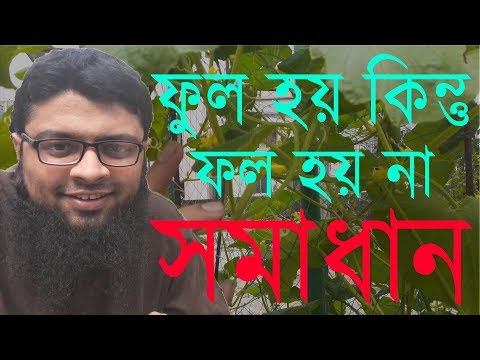 ভিডিও: গাছ ফুল ফোটে না: গাছের ফুল না ফোটার সম্ভাব্য কারণ