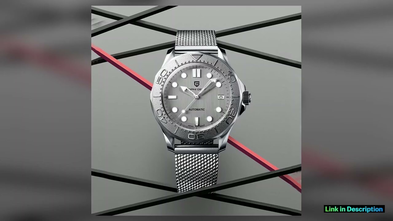 PAGANI DESIGN 007 Mens Watches Luxury Automatic Watch For Men Mechanical Wristwatch AR Sapphire