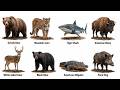 The Deadliest Animal In Every American State