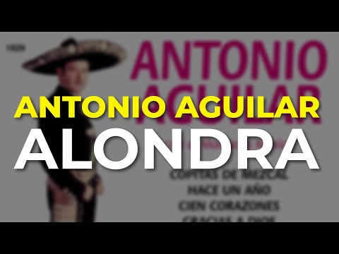 Watch the video for Alondra