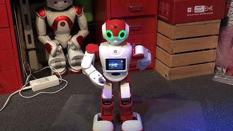 Chinese Humanoid Robot Bobi Bobi Dancing One Little Finger