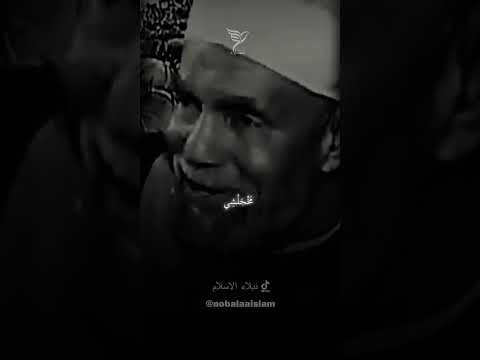 احسن الى من اساء اليك الشعراوي 