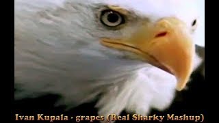 Ivan Kupala - Grapes (Виноград) (Real Sharky Mashup)