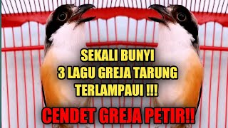 CENDET VARIASI GREJA TARUNG DAN GREJA CENDET PETIR!!!