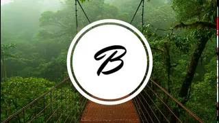 Basla - Spirit Jungle