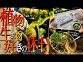 植物&生き物好きの大学生は休日をこのように過ごしている。