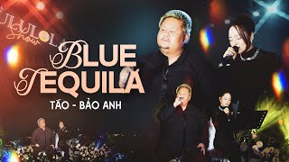 BLUE TEQUILA - BẢO ANH & TÁO live at #Lululola