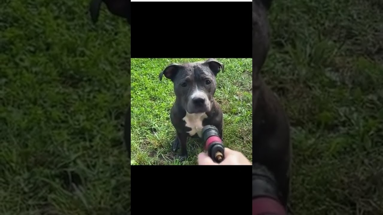 Лучшая подборка приколов.(The best selection of jokes)