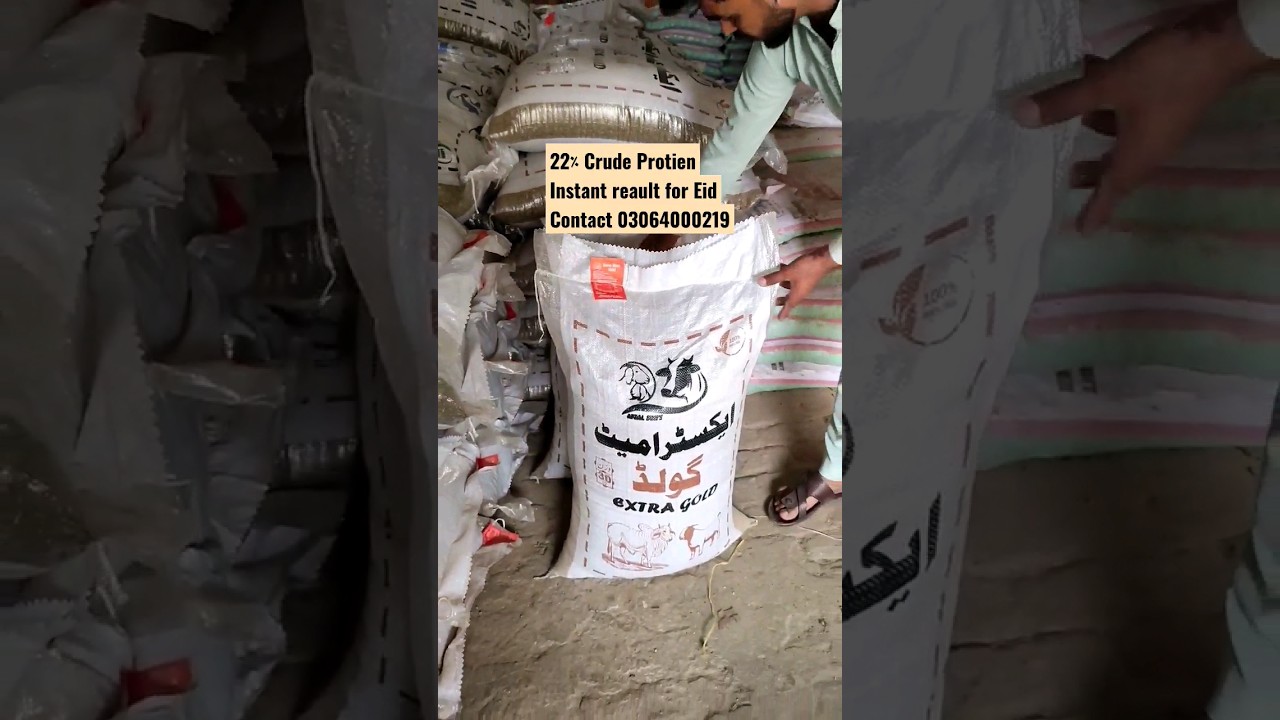 Best wanda formula for Eid 2023