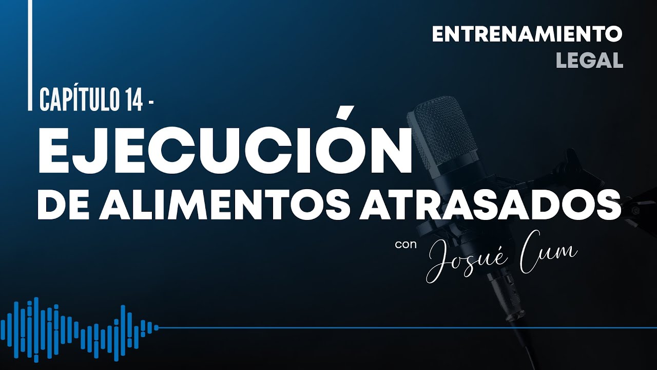 EJECUCIÓN DE ALIMENTOS ATRASADOS