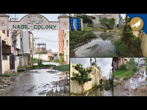 Hyderabad Barkas: Drainage crisis in Nabeel Colony, Daily life disrupted