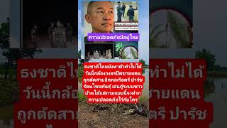 funny F edm automobile bamboo colonelkkj news www