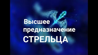 ВЫСШЕЕ ПРЕДНАЗНАЧЕНИЕ СТРЕЛЬЦА