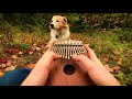 Can&#39;t Help Falling In Love on a Kalimba