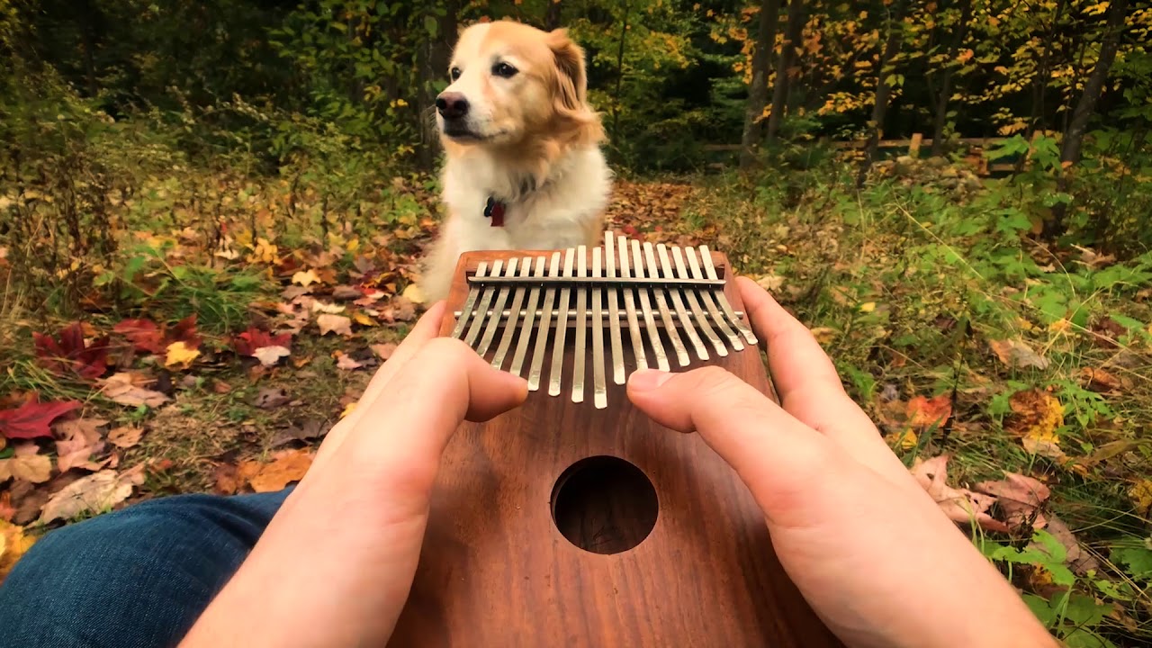 Cant Help Falling In Love on a Kalimba